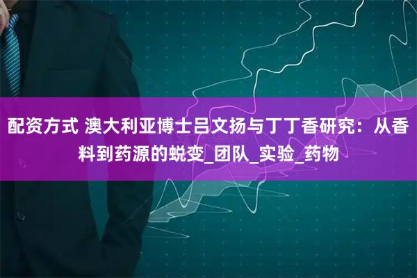 配资方式 澳大利亚博士吕文扬与丁丁香研究：从香料到药源的蜕变_团队_实验_药物